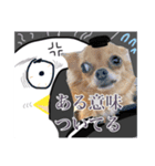 いぬたちだち（個別スタンプ：6）