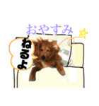 いぬたちだち（個別スタンプ：8）