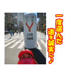 江戸マラソン名言集2（個別スタンプ：5）