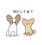 無表情犬 (日常ver.)（個別スタンプ：14）