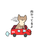 無表情犬 (日常ver.)（個別スタンプ：24）