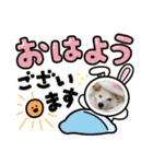 我が家のアイドル 豆柴あずきちゃん（個別スタンプ：10）
