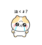 泣く猫 ナネちゃん（個別スタンプ：2）