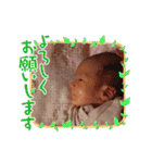 かしわまる3（個別スタンプ：11）
