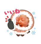 かしわまる3（個別スタンプ：14）