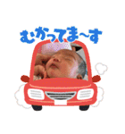 かしわまる3（個別スタンプ：24）