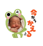 かしわまる3（個別スタンプ：33）