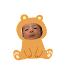 かしわまる3（個別スタンプ：37）
