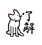 白犬ちゃんのスタンプ（個別スタンプ：1）