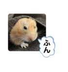可愛いこつぶの日常2（個別スタンプ：5）