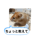 可愛いこつぶの日常2（個別スタンプ：9）