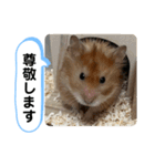 可愛いこつぶの日常2（個別スタンプ：11）