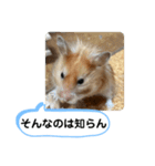 可愛いこつぶの日常2（個別スタンプ：12）