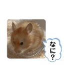 可愛いこつぶの日常2（個別スタンプ：16）