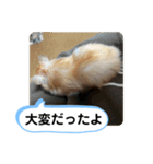 可愛いこつぶの日常2（個別スタンプ：17）