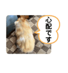 可愛いこつぶの日常2（個別スタンプ：18）