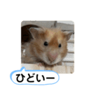 可愛いこつぶの日常2（個別スタンプ：19）