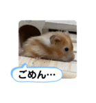 可愛いこつぶの日常2（個別スタンプ：20）