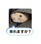 可愛いこつぶの日常2（個別スタンプ：21）