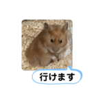 可愛いこつぶの日常2（個別スタンプ：22）