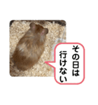 可愛いこつぶの日常2（個別スタンプ：23）