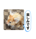 可愛いこつぶの日常2（個別スタンプ：25）