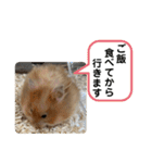 可愛いこつぶの日常2（個別スタンプ：26）