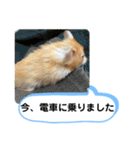 可愛いこつぶの日常2（個別スタンプ：27）