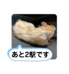 可愛いこつぶの日常2（個別スタンプ：28）