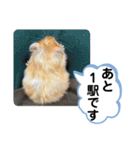 可愛いこつぶの日常2（個別スタンプ：29）