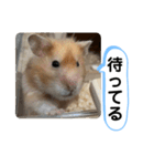 可愛いこつぶの日常2（個別スタンプ：30）