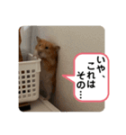 可愛いこつぶの日常2（個別スタンプ：32）