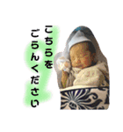 かしわまる2（個別スタンプ：5）