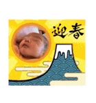 かしわまる2（個別スタンプ：6）