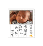 かしわまる2（個別スタンプ：15）