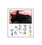 凛and優（個別スタンプ：7）