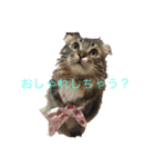まやこきフリーダムスタンプ（個別スタンプ：3）