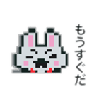 おじうさぎ(ドット絵)（個別スタンプ：19）