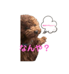 マロンとシンバの毎日♡2（個別スタンプ：3）