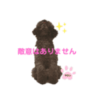 マロンとシンバの毎日♡2（個別スタンプ：16）