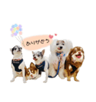 桃太郎軍団（個別スタンプ：1）