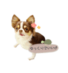 桃太郎軍団（個別スタンプ：9）
