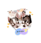 桃太郎軍団（個別スタンプ：13）