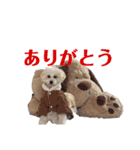 soyのスタンプ2（個別スタンプ：7）