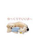 soyのスタンプ2（個別スタンプ：8）