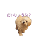 soyのスタンプ2（個別スタンプ：10）