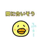 ピヨピヨぴよこの日常 Vol.0.1（個別スタンプ：24）