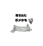 黒ウサギ 三代目ラブ 日本語版（個別スタンプ：1）