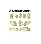 黒ウサギ 三代目ラブ 日本語版（個別スタンプ：7）