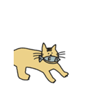 シムネコ（個別スタンプ：1）